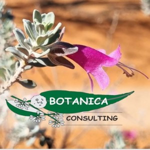 Botanica Consulting