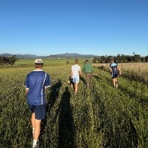 Rothy's Ramblers