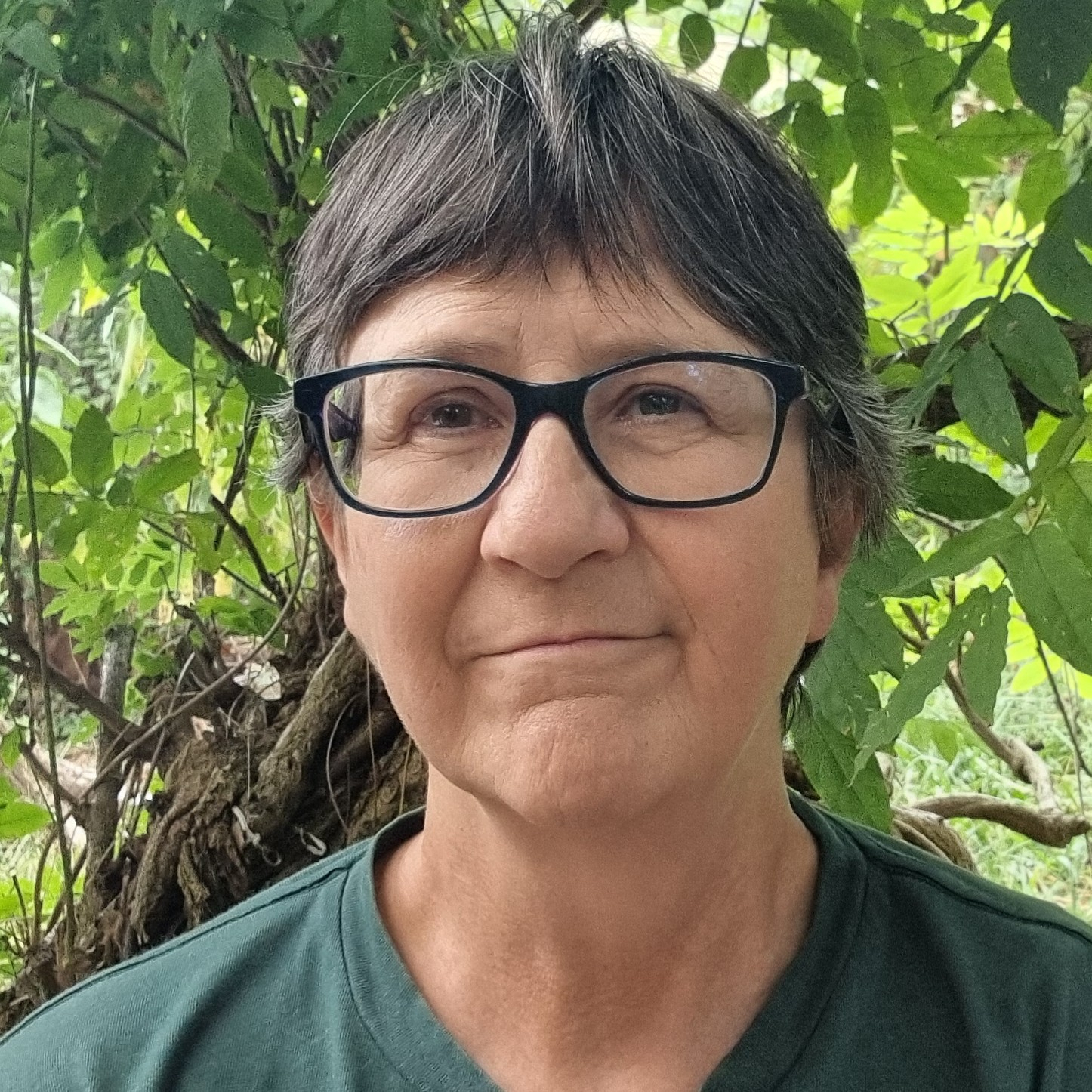 Nerys Lewis