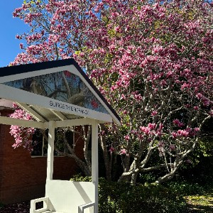 North Turramurra General Practice