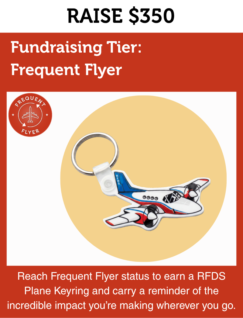 RFDS Plane Keyring