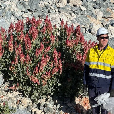 Liontown Resources ESG