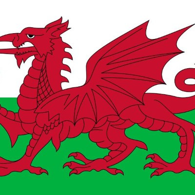 Team Wales
